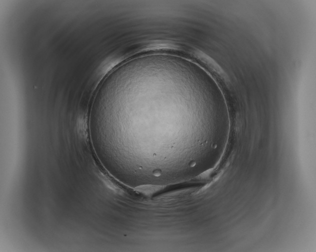 X0000110971321200906261400