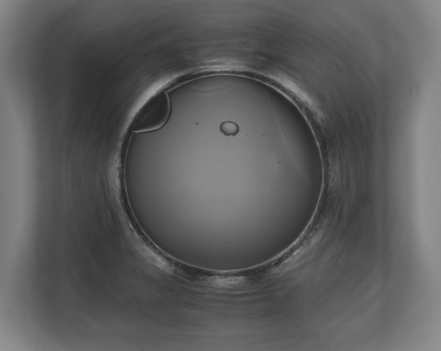 X0000110971325200906261400