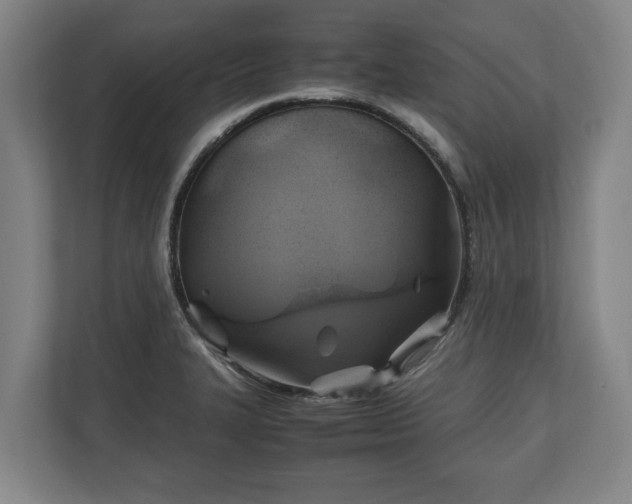 X0000110971327200906261400