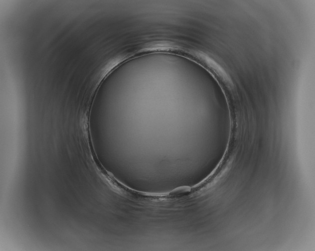 X0000110971329200906261400