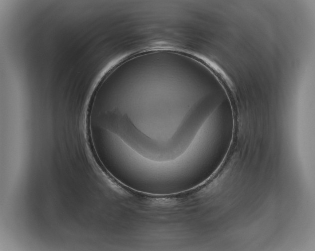 X0000110971333200906261400