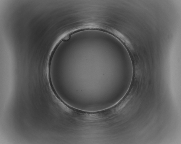 X0000110971334200906261400