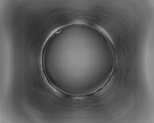 X0000110971339200906261400