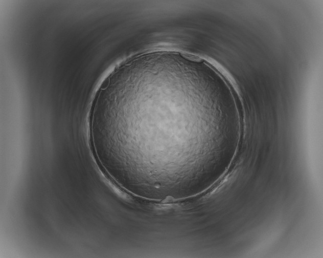 X0000110971341200906261400