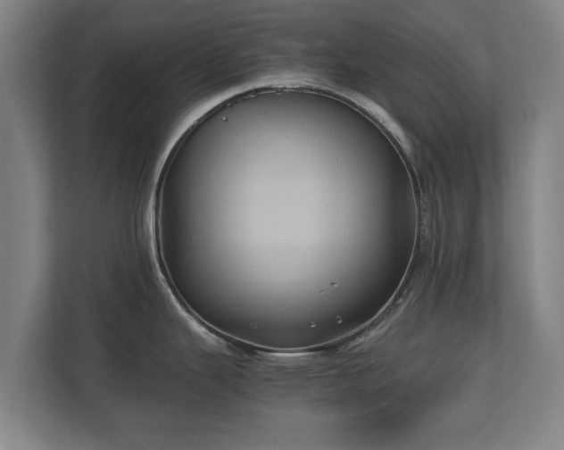 X0000110971343200906261400