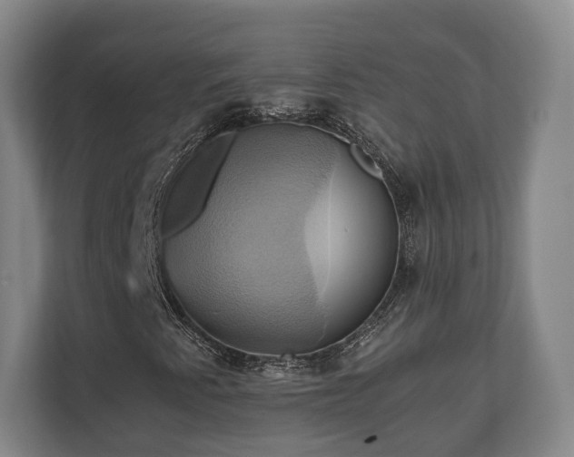 X0000110971345200906261359