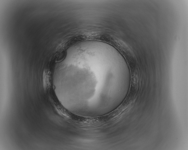 X0000110971346200906261359