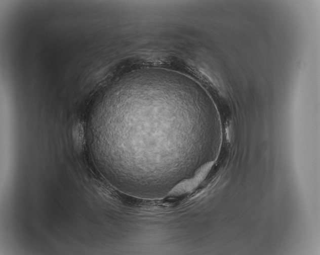 X0000110971347200906261359