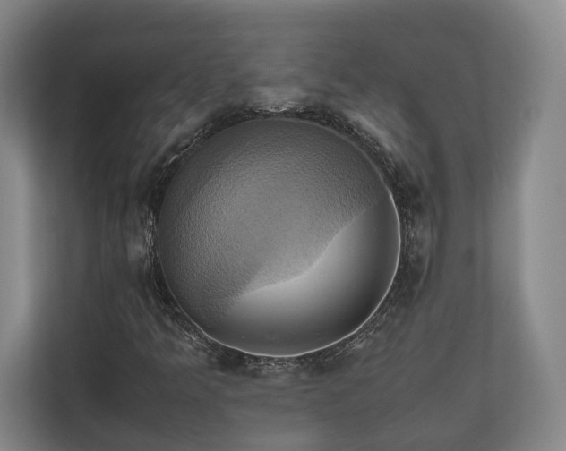 X0000110971349200906261359