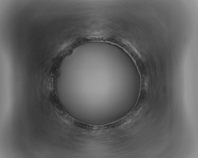 X0000110971350200906261359