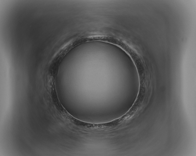 X0000110971351200906261359