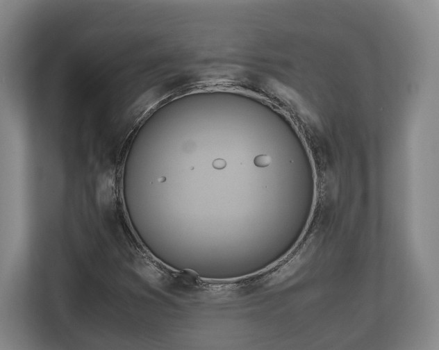 X0000110971353200906261359