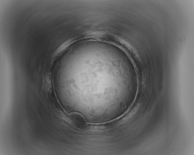 X0000110971354200906261359