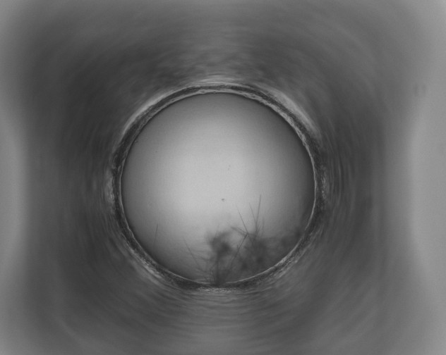 X0000110971356200906261359