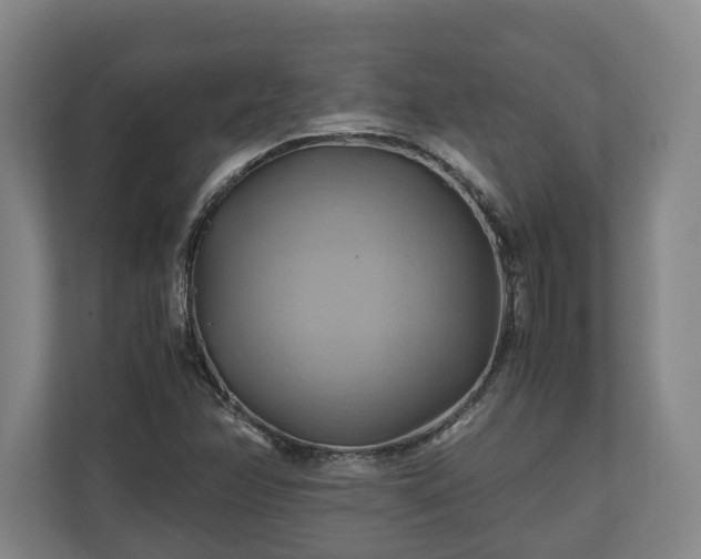 X0000110971358200906261359