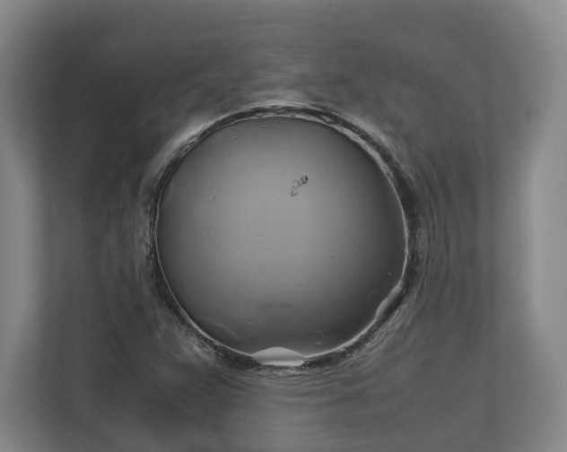 X0000110971359200906261359