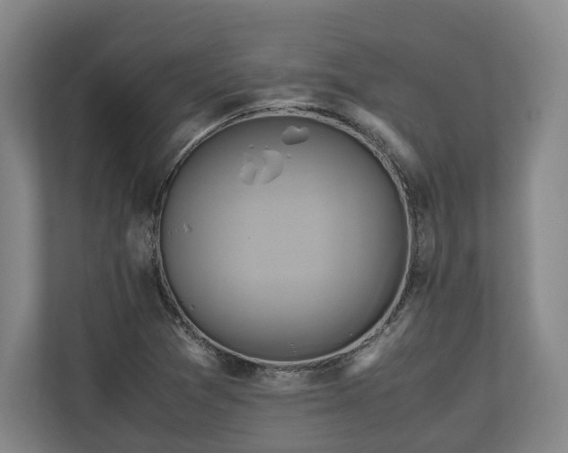 X0000110971361200906261359