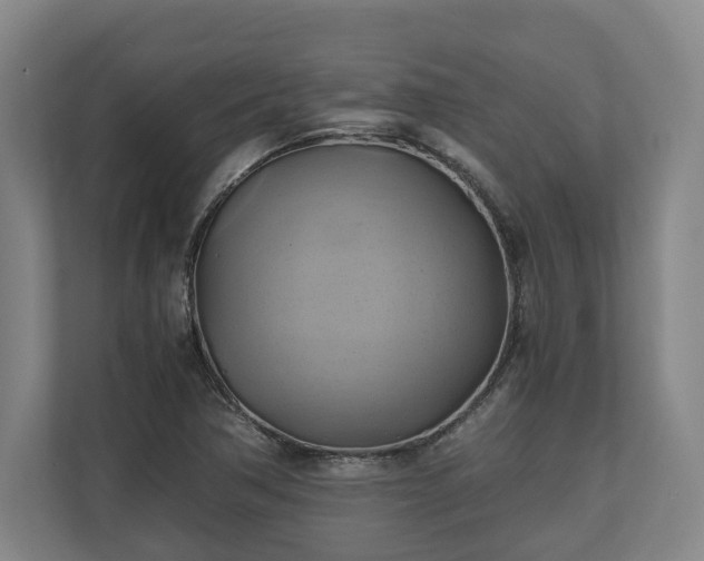 X0000110971362200906261359