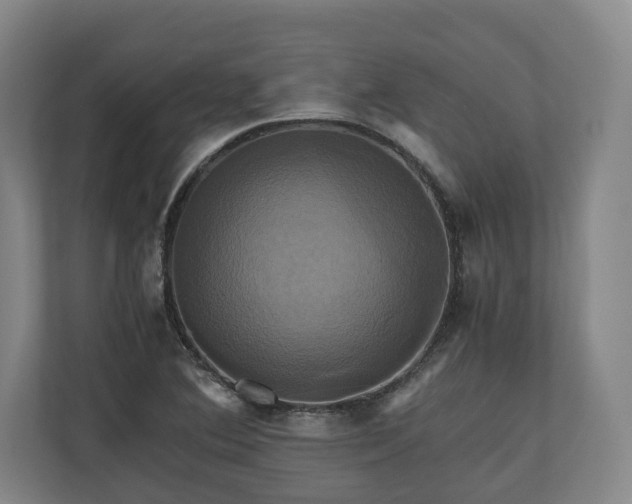 X0000110971364200906261359