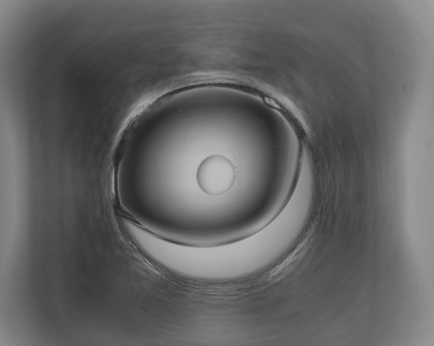 X0000110971365200906261359