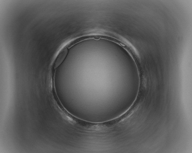 X0000110971368200906261359