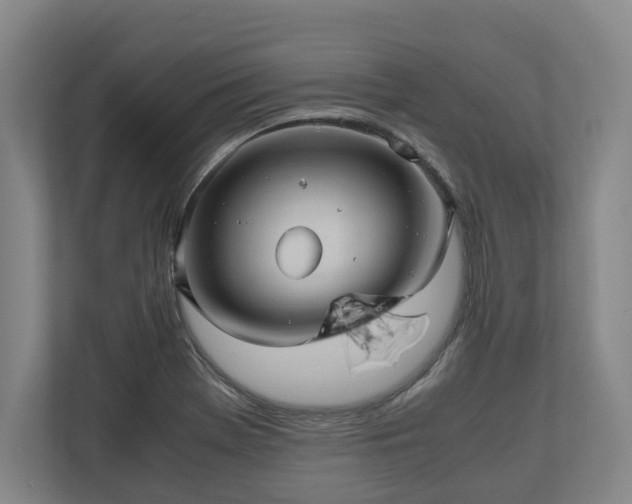 X0000110971369200906261359