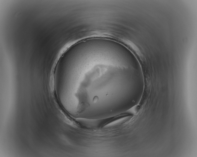 X0000110971371200906261359