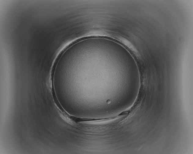 X0000110971372200906261359