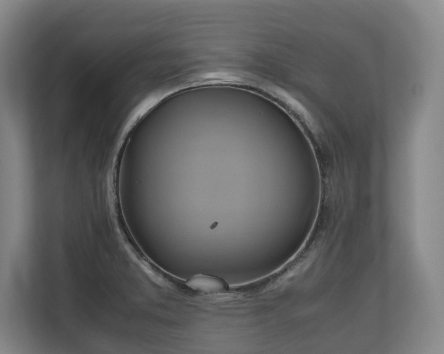 X0000110971373200906261359