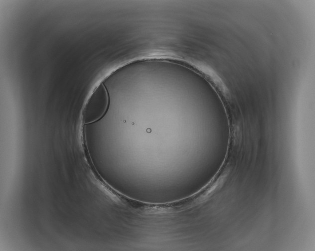 X0000110971374200906261359