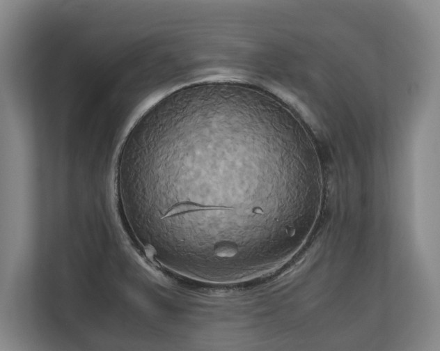 X0000110971375200906261359