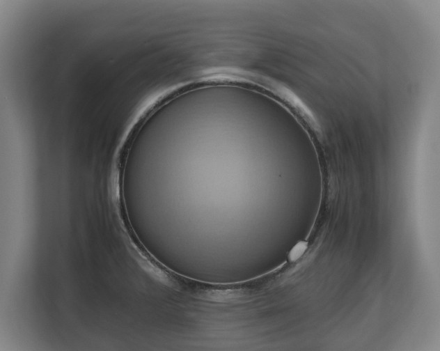 X0000110971376200906261359