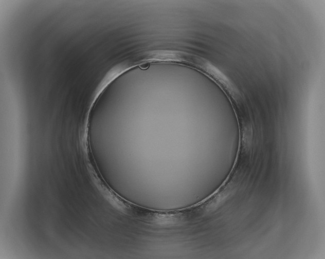 X0000110971378200906261359