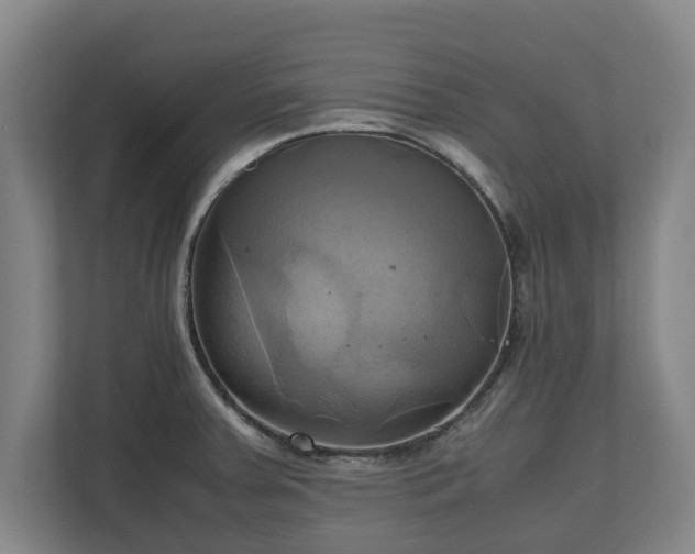 X0000110971379200906261359