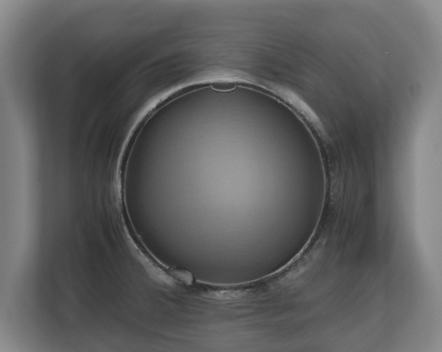 X0000110971380200906261359