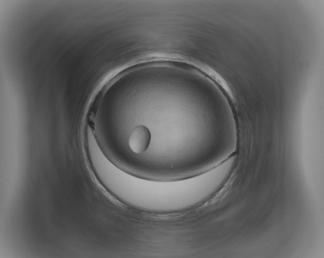 X0000110971381200906261359