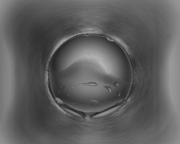 X0000110971383200906261359