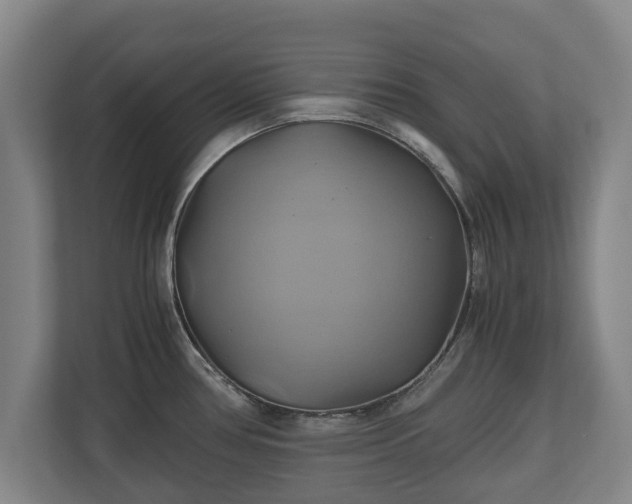 X0000110971386200906261359