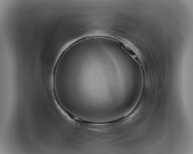 X0000110971388200906261359