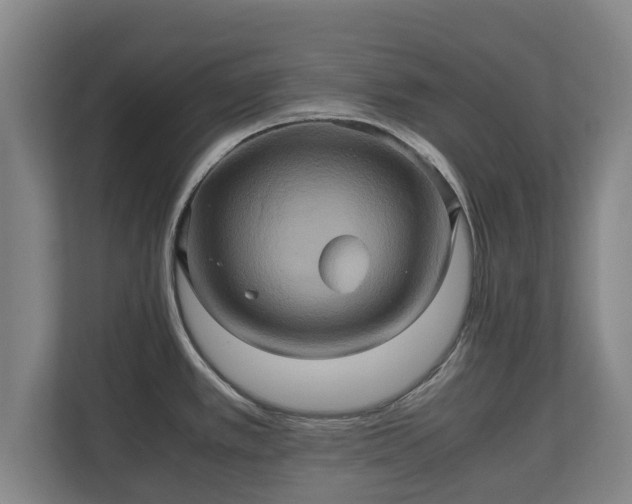 X0000110971389200906261359