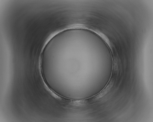 X0000110971390200906261359