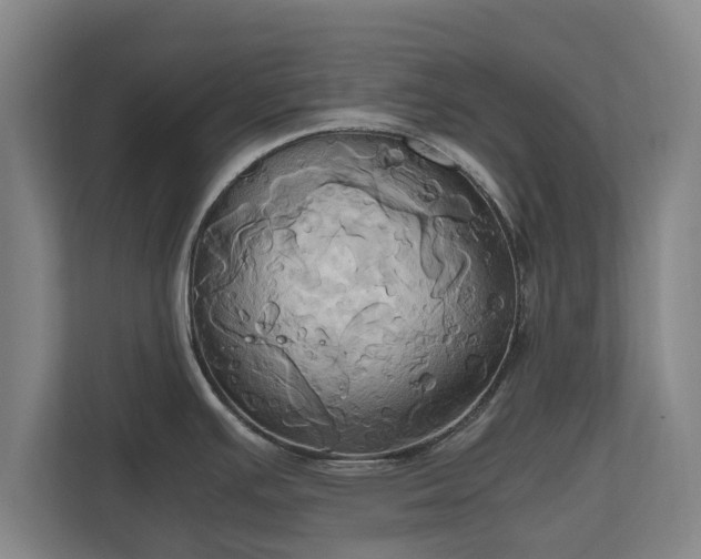 X0000110971391200906261359