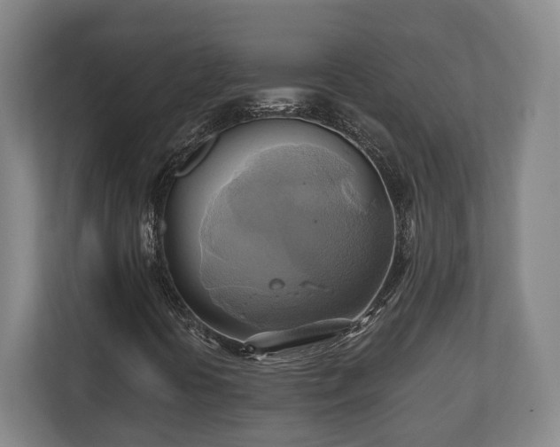 X0000110971394200906261358