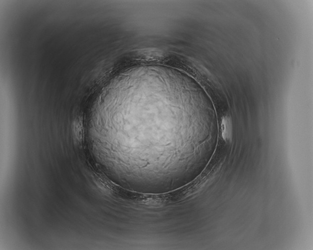 X0000110971395200906261358