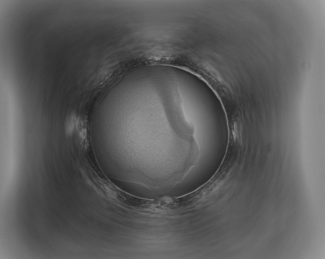 X0000110971396200906261358