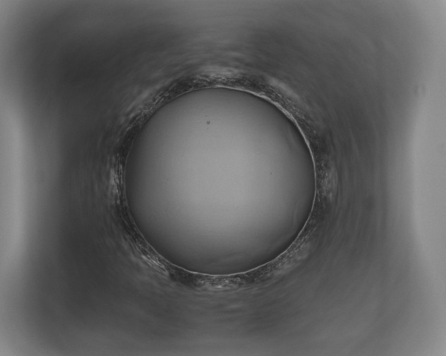 X0000110971397200906261358