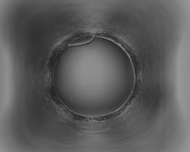 X0000110971398200906261358