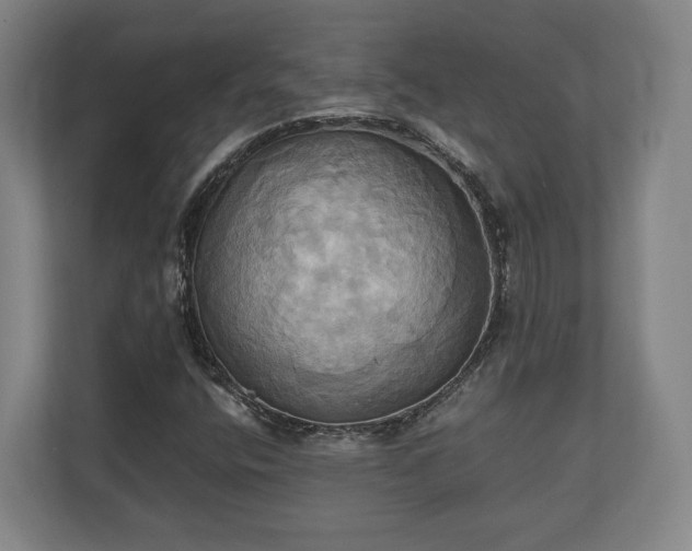 X0000110971400200906261358