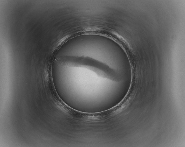 X0000110971401200906261358