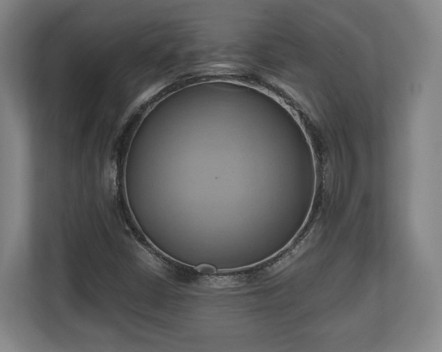 X0000110971402200906261358